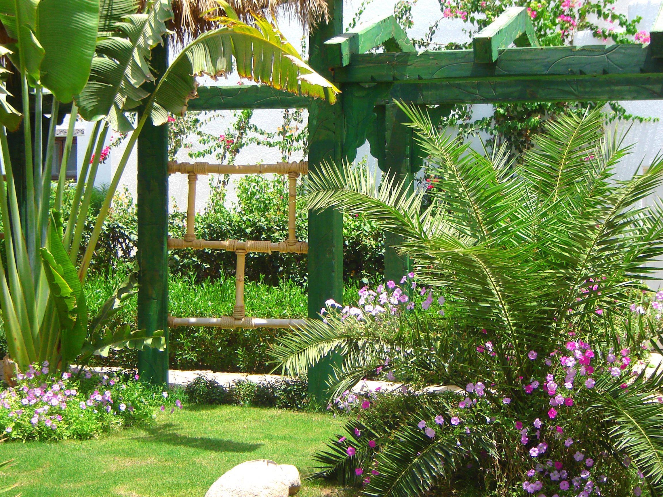 Delta Sharm Resort ,Official Web, Delta Rent, Sharm El Sheikh, South Sinai, Egypt エクステリア 写真